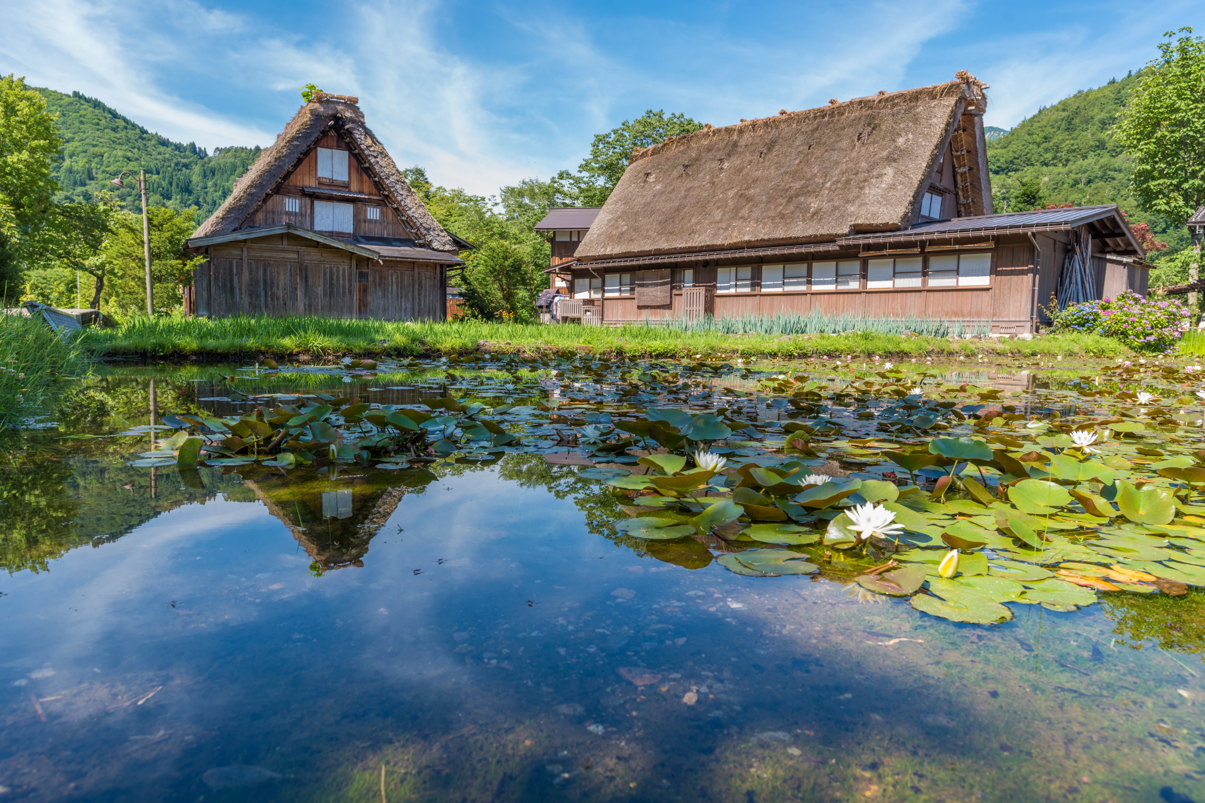 Shirakawa[1].webp